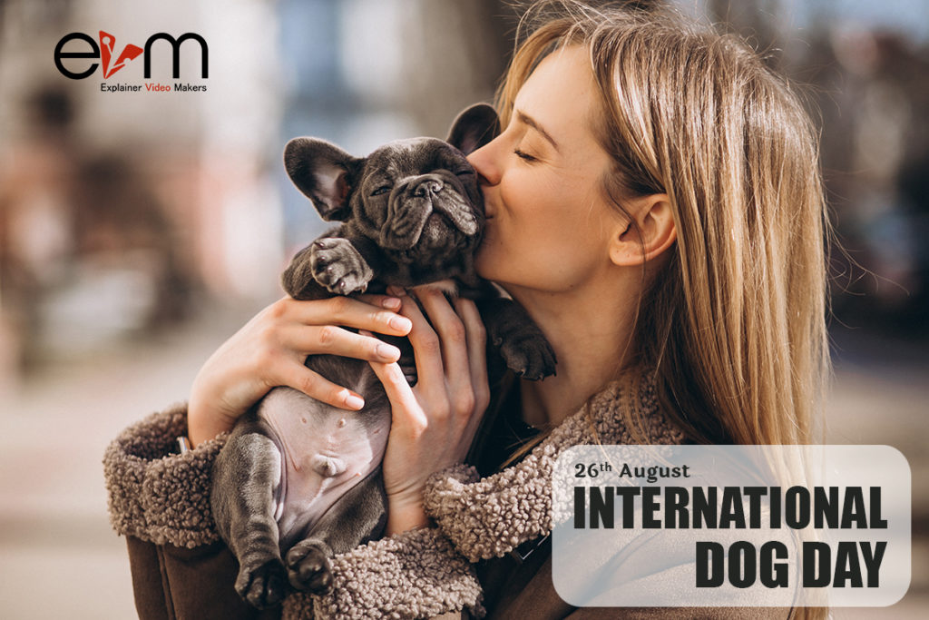 26th August International Dog Day Explainer Video Makers