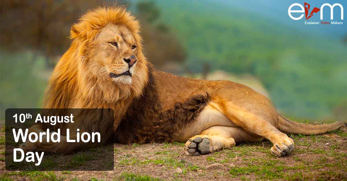 10th August World Lion Day Explainer Video Makers