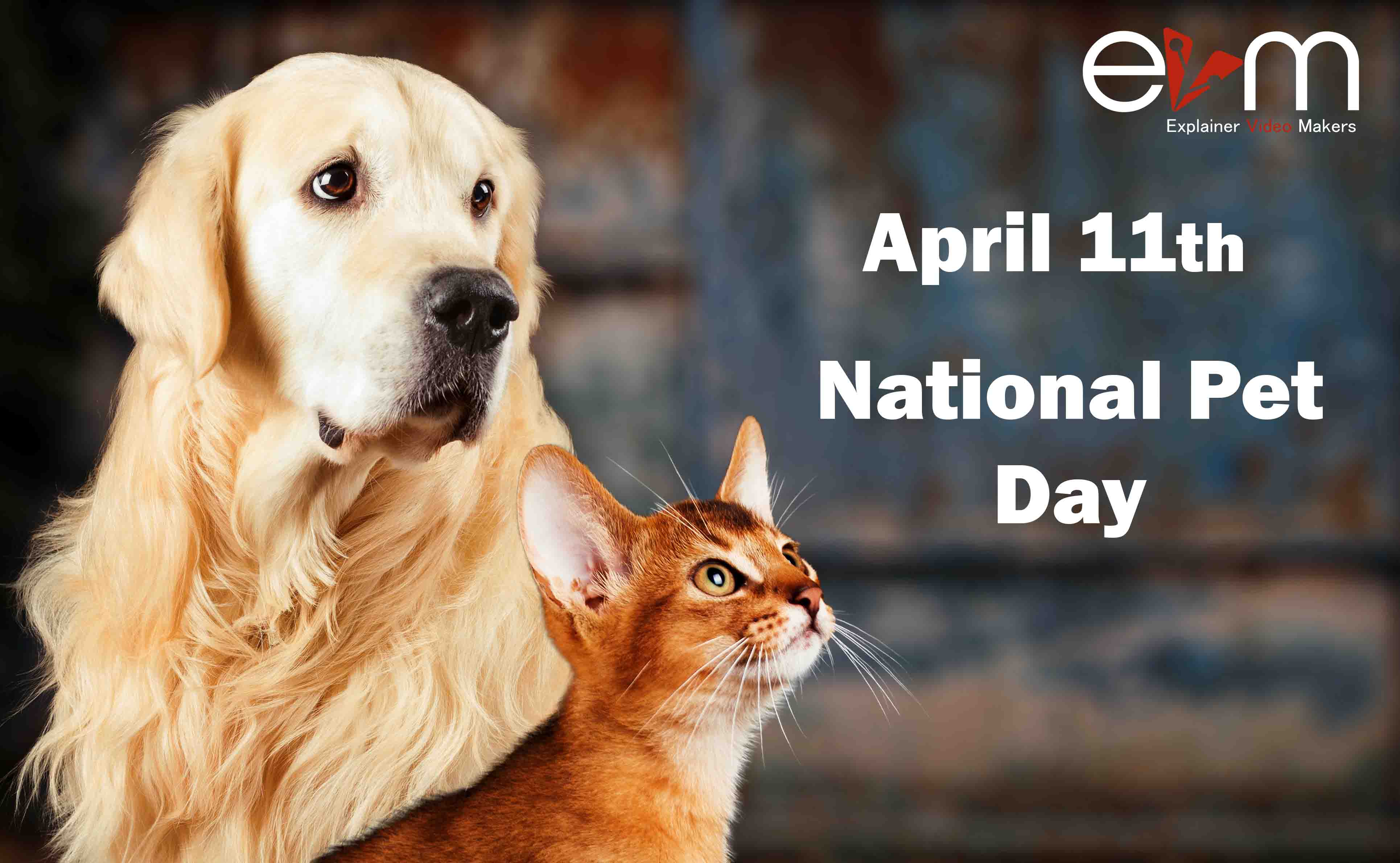 11th April: National Pet Day - Explainer Video Makers