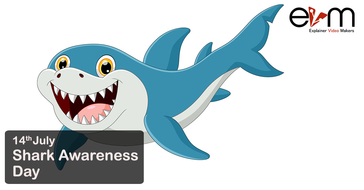 Shark Awareness Day explainer video makers